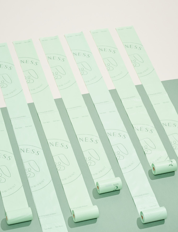 Green rolls of paper with the word "zen" printed on them, symbolizing tranquility and peace.