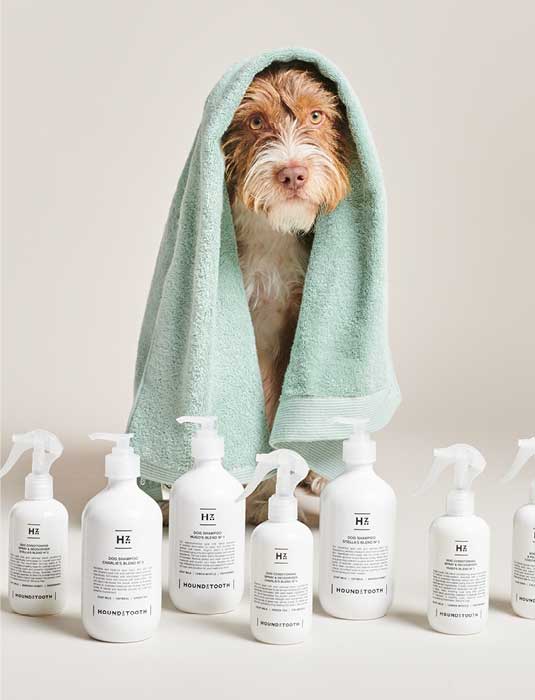 Image of Bo At Bathing With Natural Care Line Of Houndztooth
