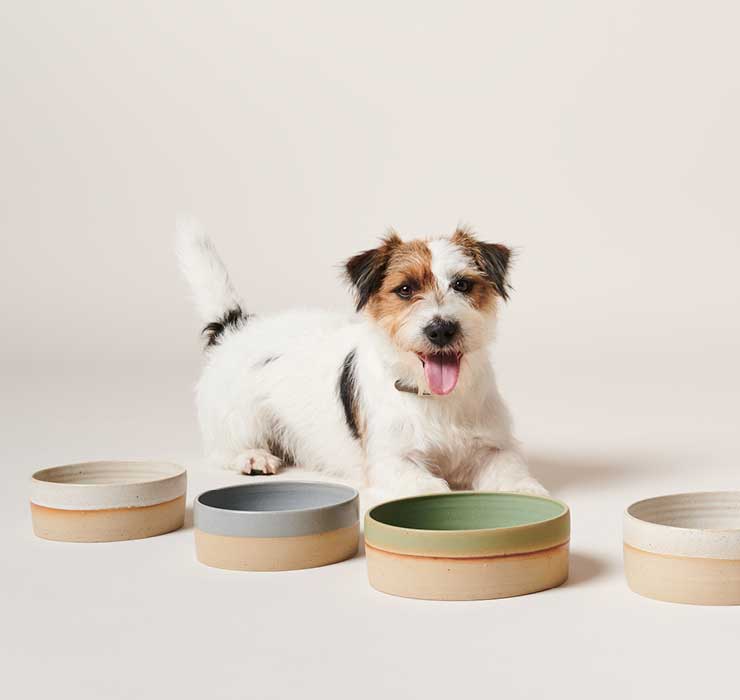 Image, Dog with Pawness Product Feeder Bowl