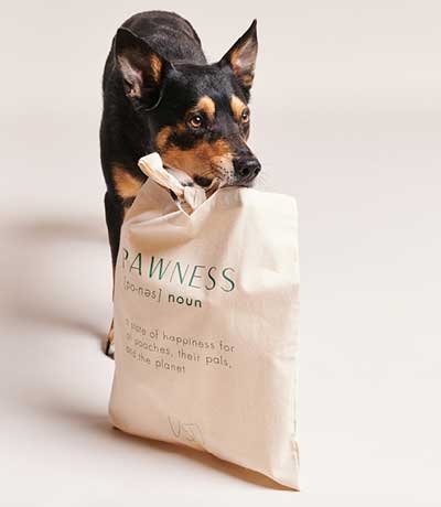 Image, Shop Pawness Dog With Shopping Bag - Pawness