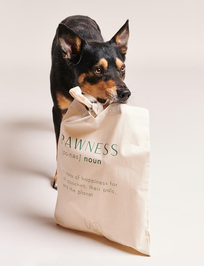 A dog holding a bag with the words "pawness" on it.