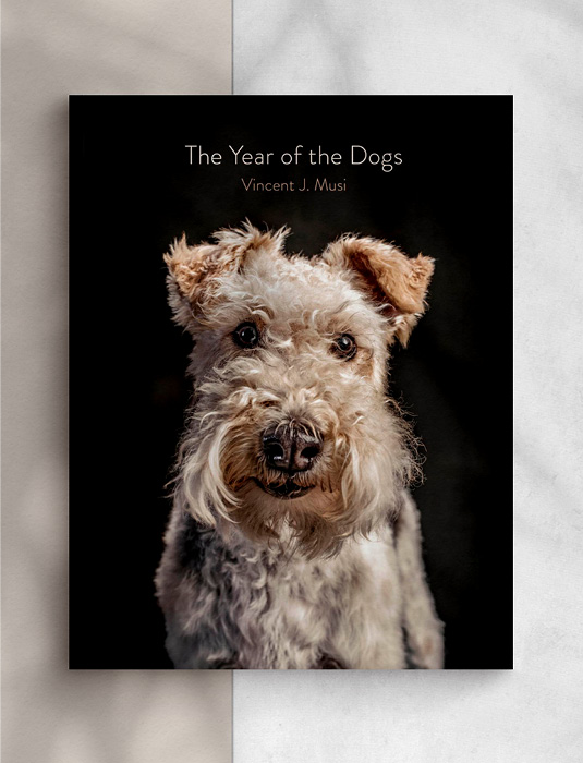 THE YEAR OF THE DOGS