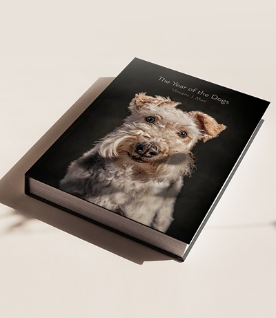 BOOK THE YEAR OF THE DOGS