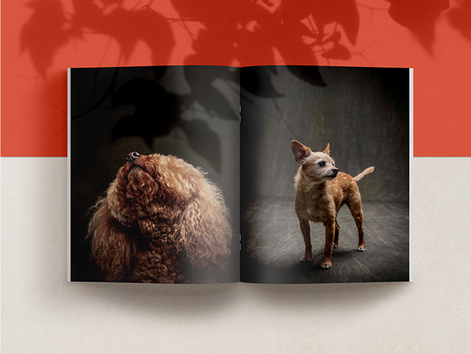 SPREAD OF THE BOOK THE YEAR OF THE DOGS