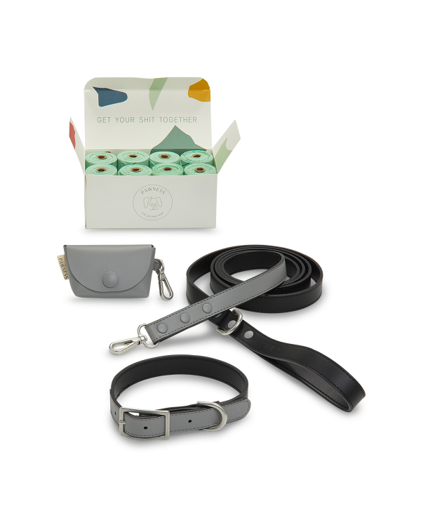 A complete dog collar and leash set, consisting of a leash, collar, and leash. Perfect for walking your furry friend.