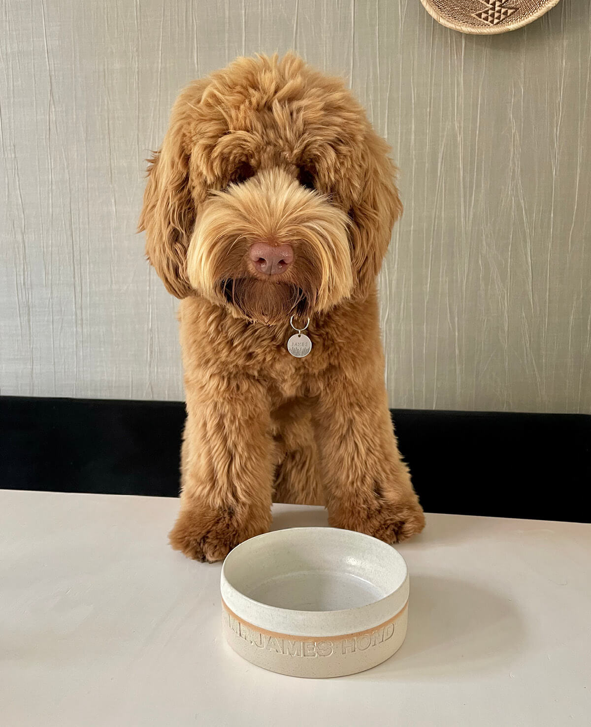 Personalised food bowl white