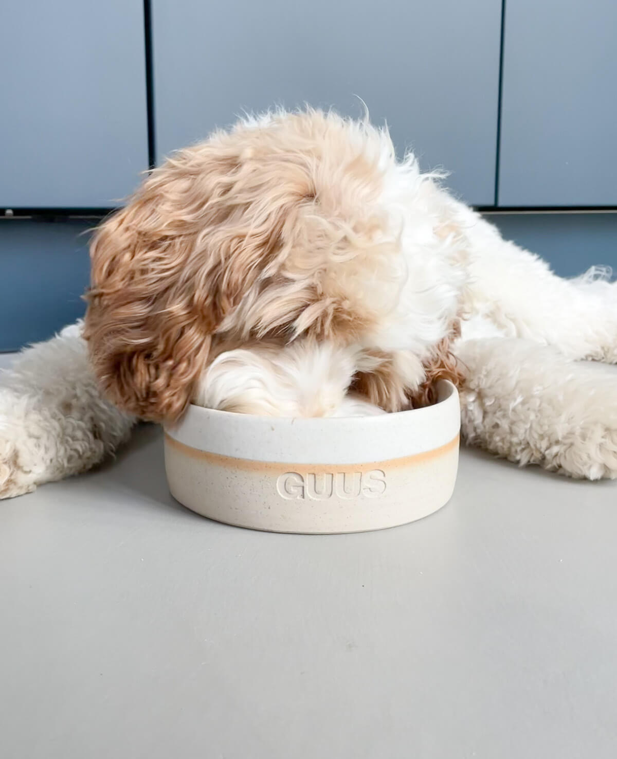 Personalised food bowl white with dog