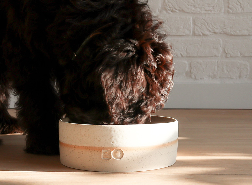 PAWNESS, Bo Ceramic Slow Feeder Dog Bowl