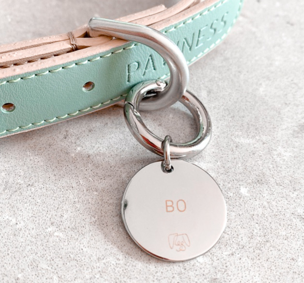 Dog tag with name "Bo" engraved, hanging from collar.