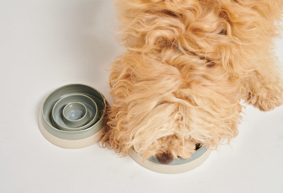 PAWNESS, Bo Ceramic Slow Feeder Dog Bowl