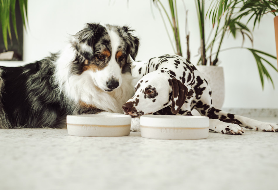 ceramic bowls