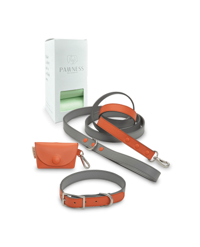 Walk Kit Collar Coral