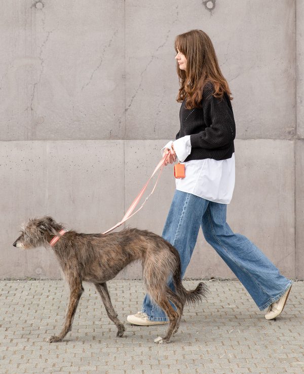 A woman walking her dog on a leash in a park.