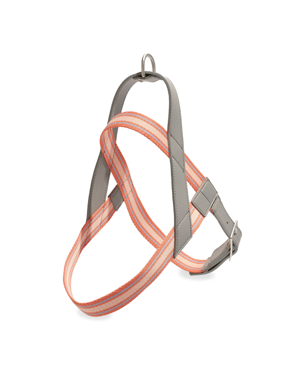 A pink dog harness with a silver buckle, perfect for keeping your furry friend secure and stylish.