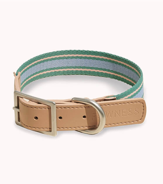 Vegan leather collar for your pet dog