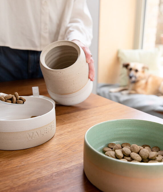 Ceramic cook jars that can store your buddy's food 