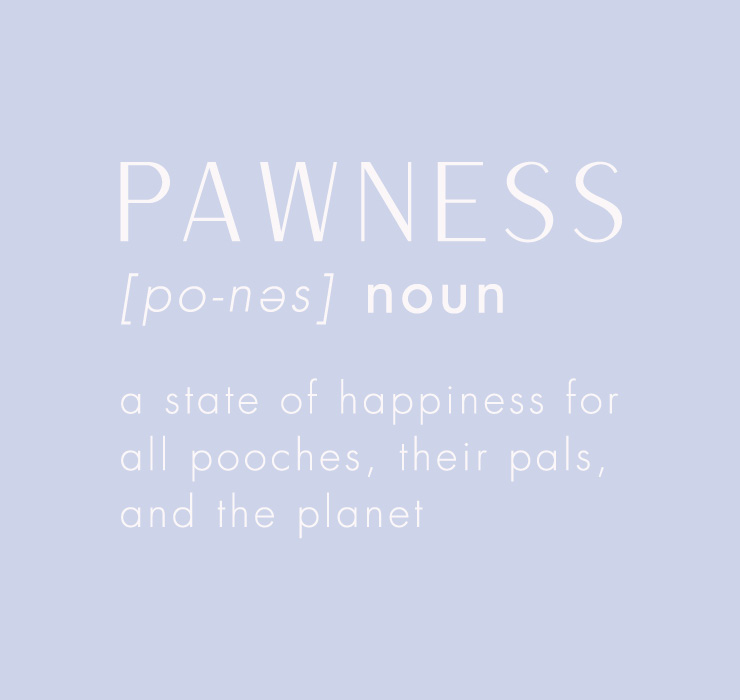 A close-up image of a paw with a soft fur texture, representing the concept of "pawness".