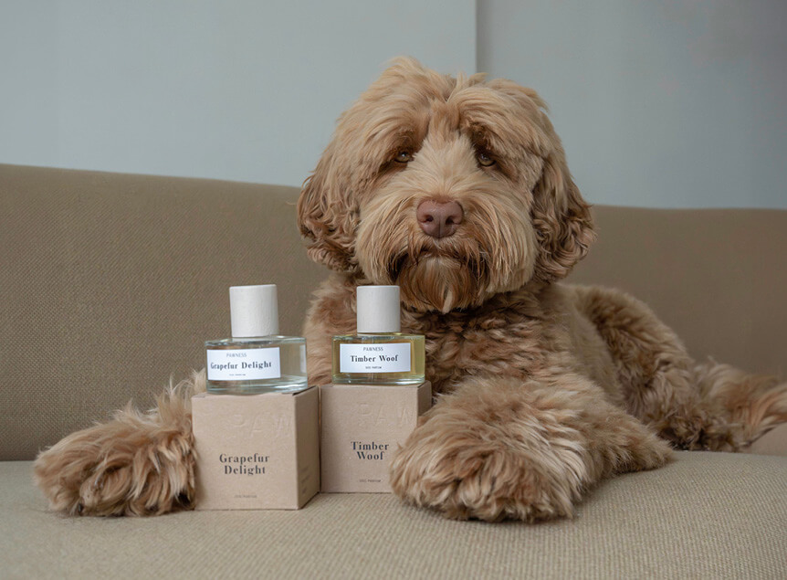 Dog with perfume set