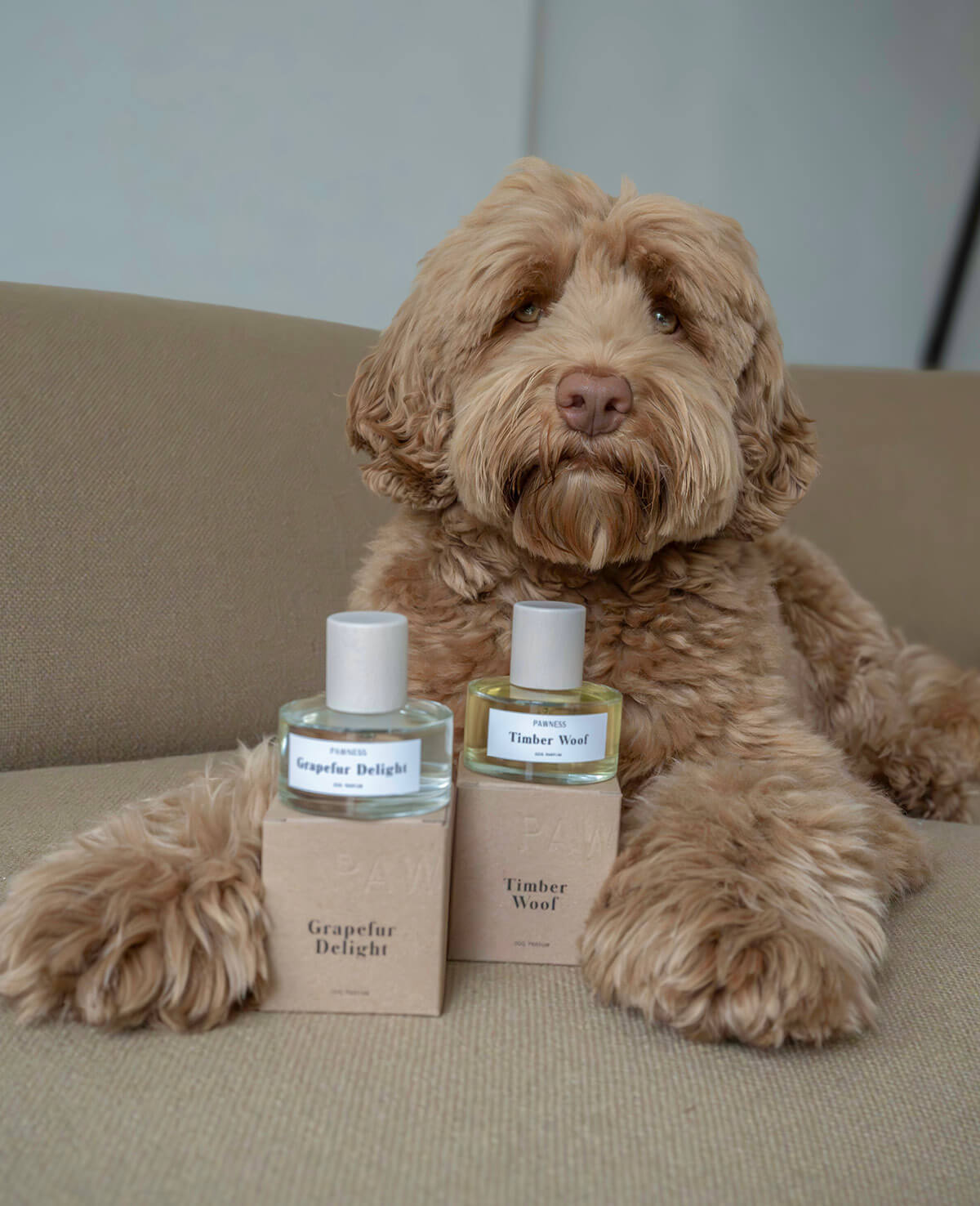 Dog with Dog perfume set