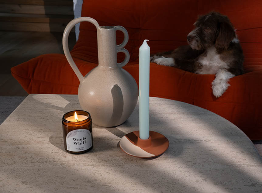Scented candle & dog