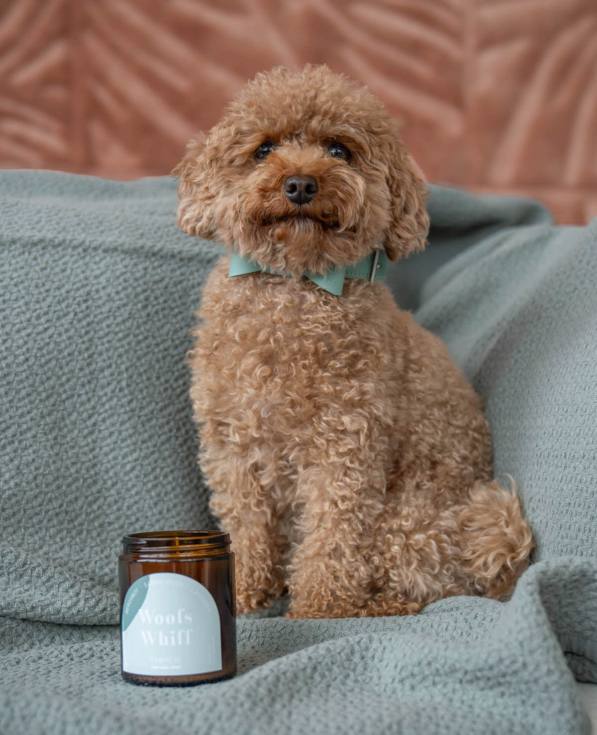 Scented Candle with toy poodle