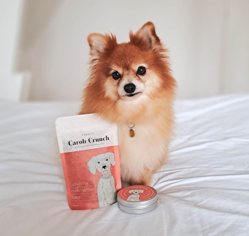 Dog with plant based training treats