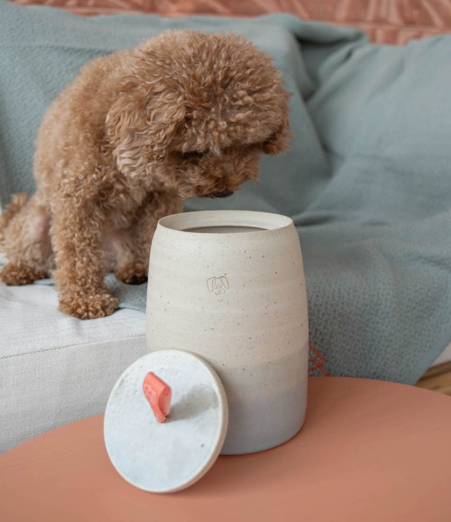 Dog with Ceramic cookie jar