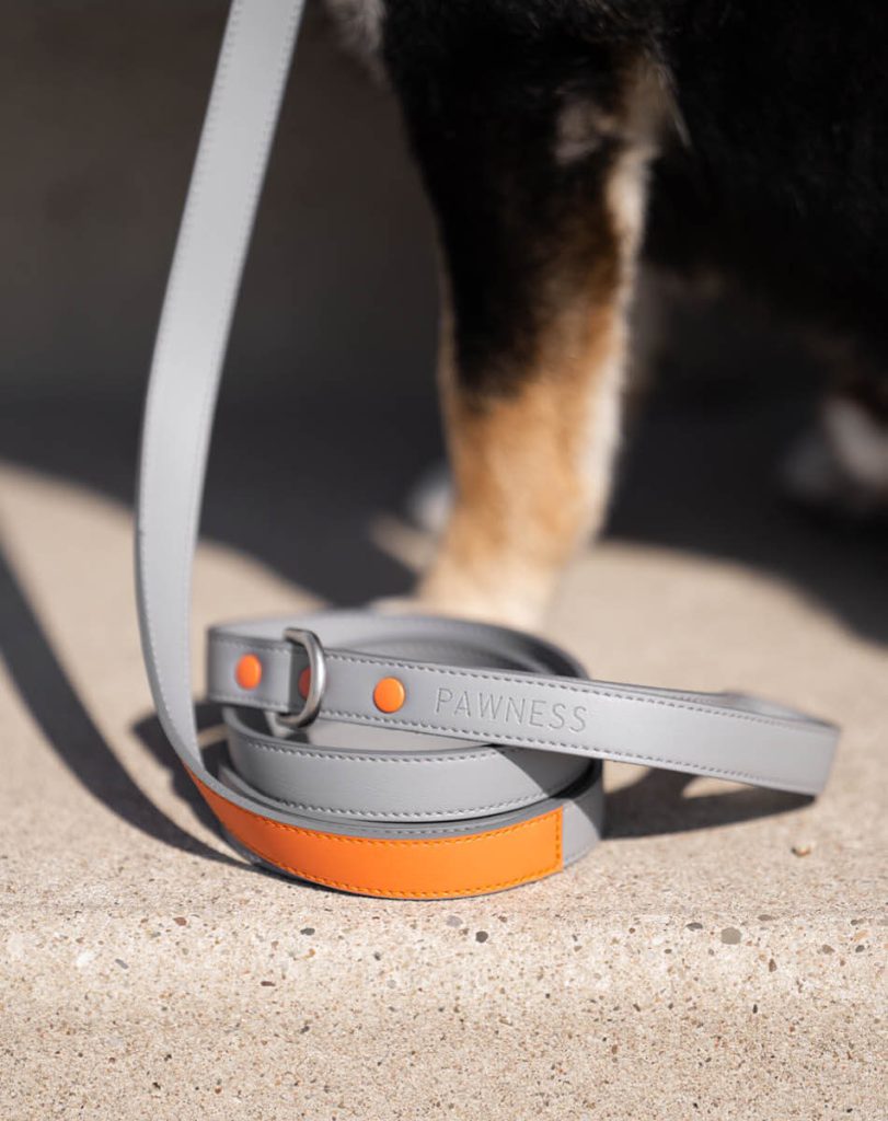 Close up Leash Bo Coral
