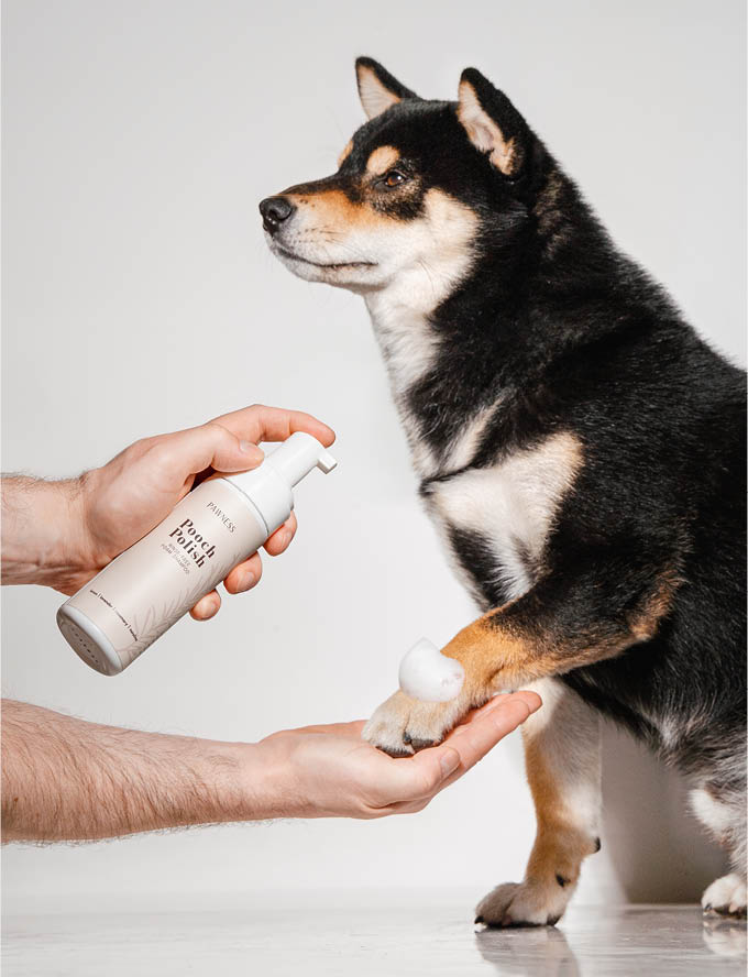 Rinse-free Foam Shampoo and dog