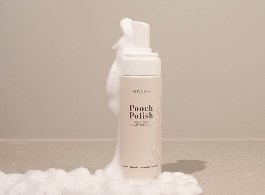 Rinse-free Foam Shampoo