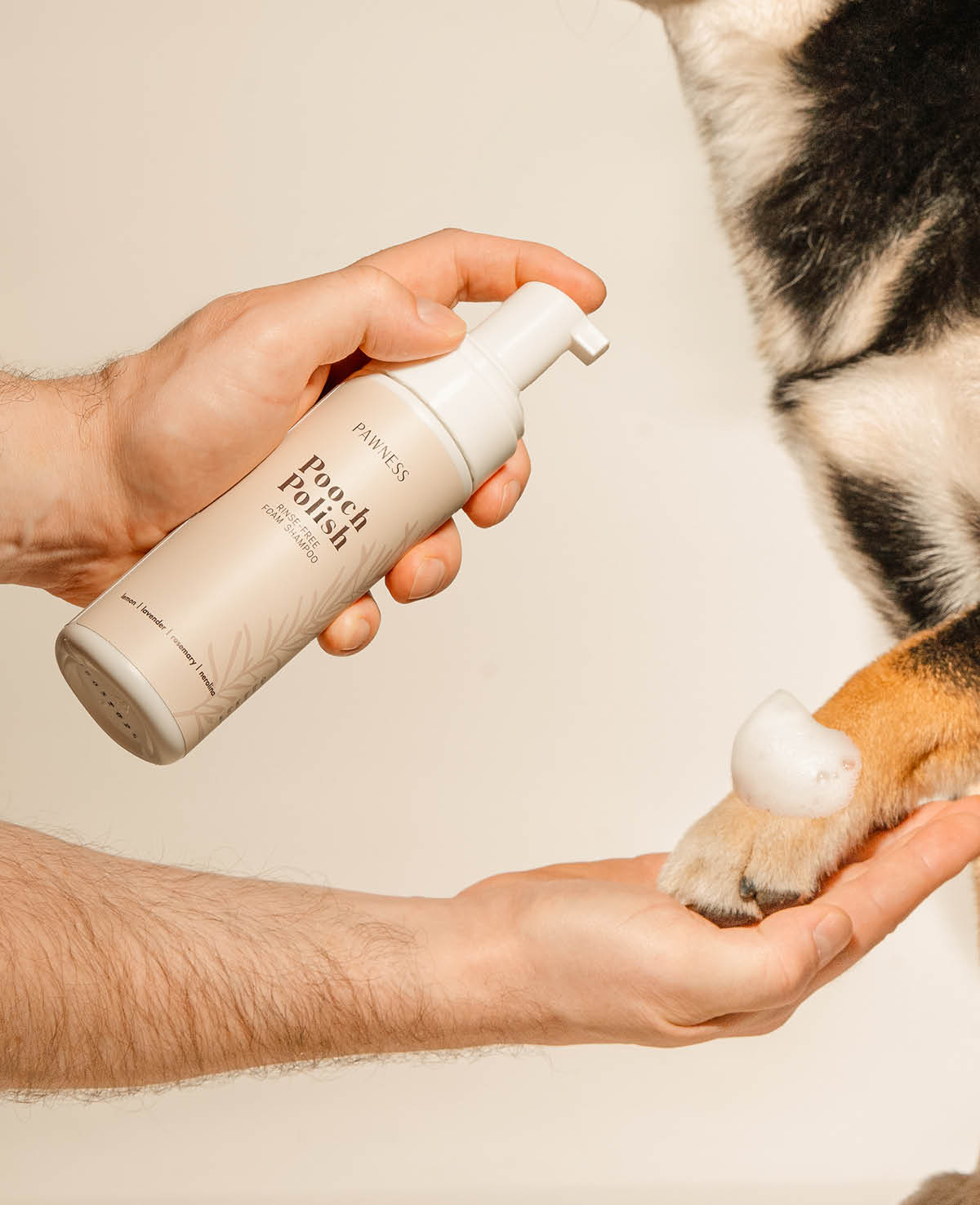 Rinse-free Foam Shampoo on dog paw