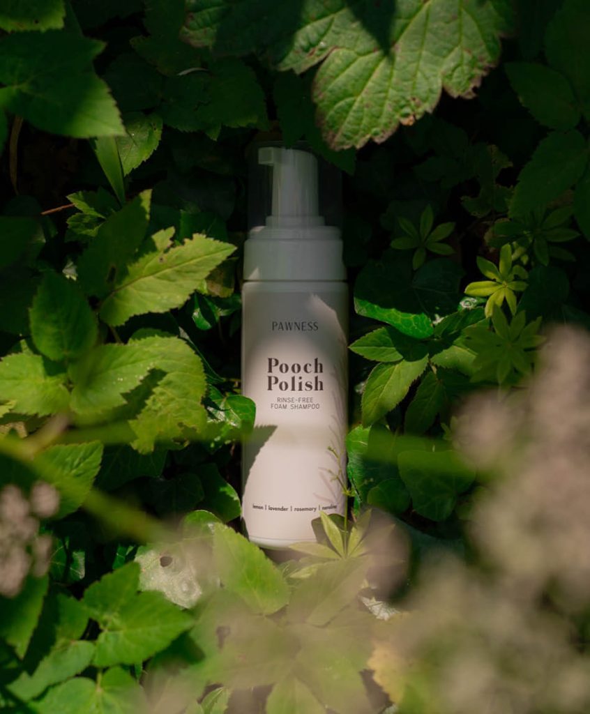 Pooch Polish in green