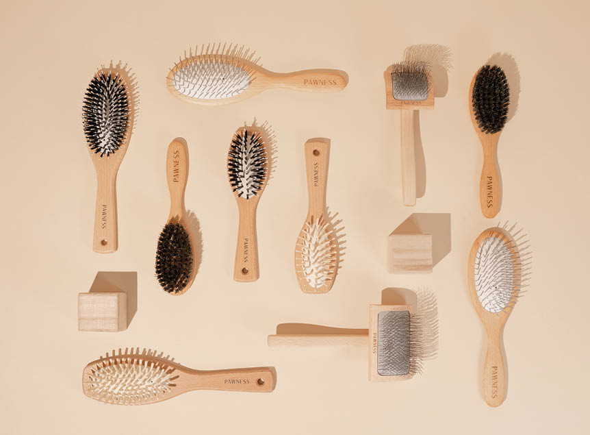 All brushes Pawness