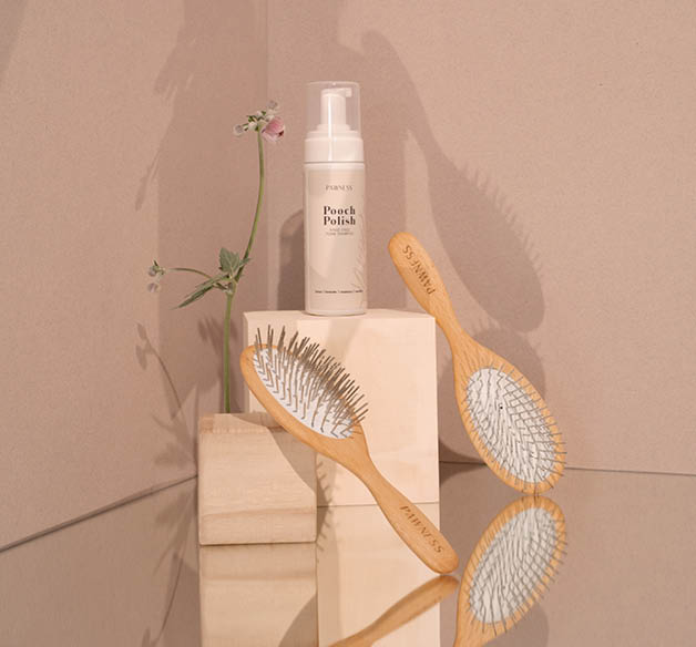 Gentle Touch Brush
