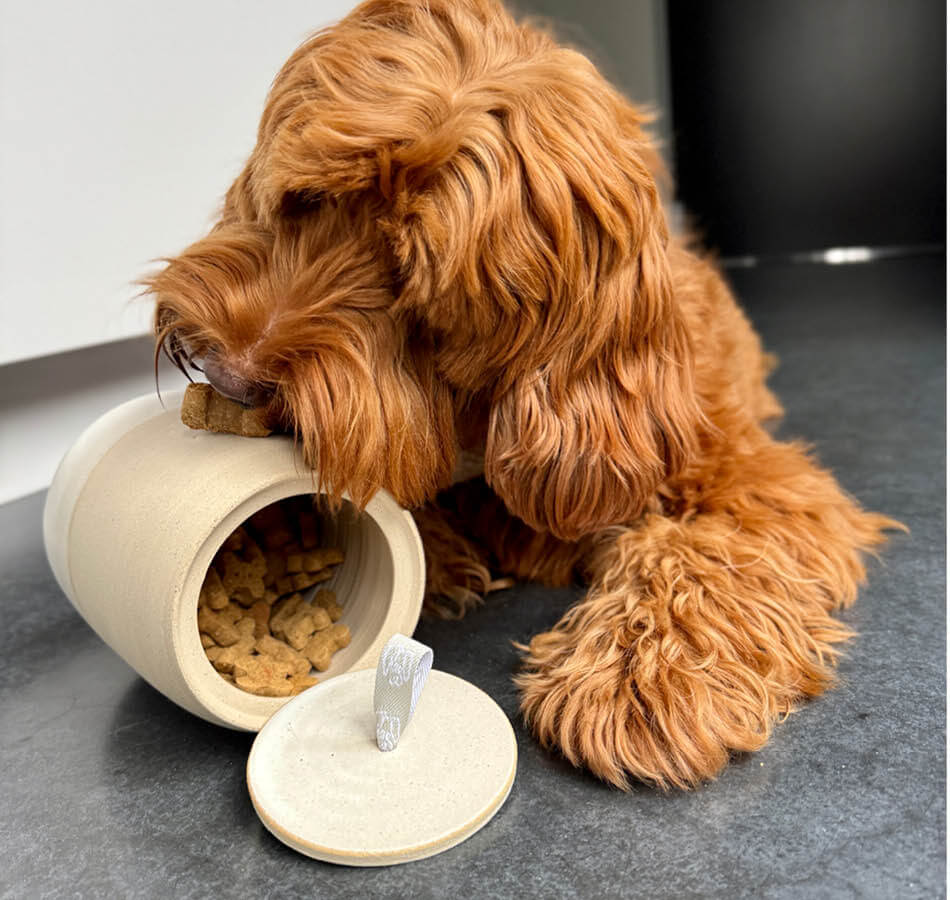 Frenkie and cookie jar