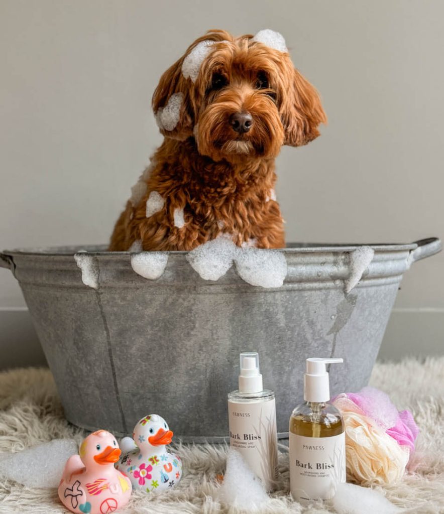 Frenkie in the bathtub