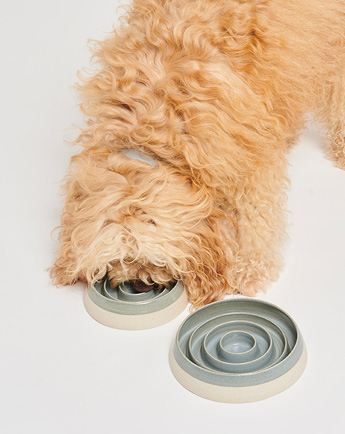 BLOGPOST IMAGE_Hoe vaak moet je de eetbak van je hond schoonmaken (11)