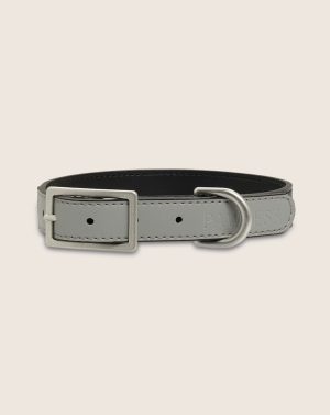 Hondenhalsband Bo