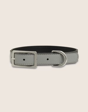 Hondenhalsband Bo