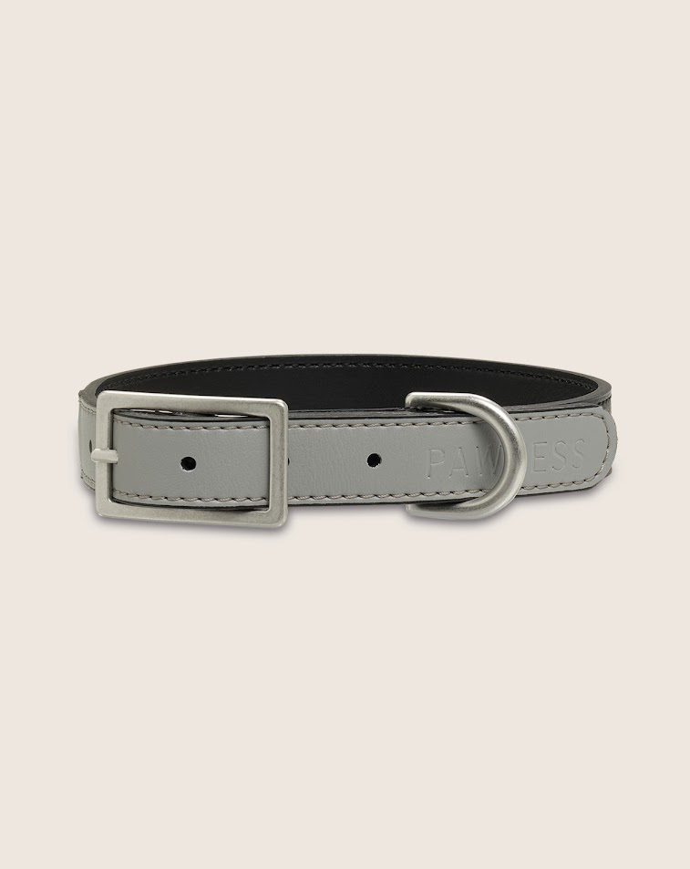 Hondenhalsband Bo