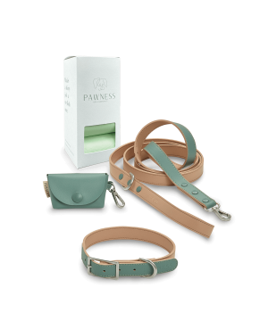 Wandelset hondenhalsband